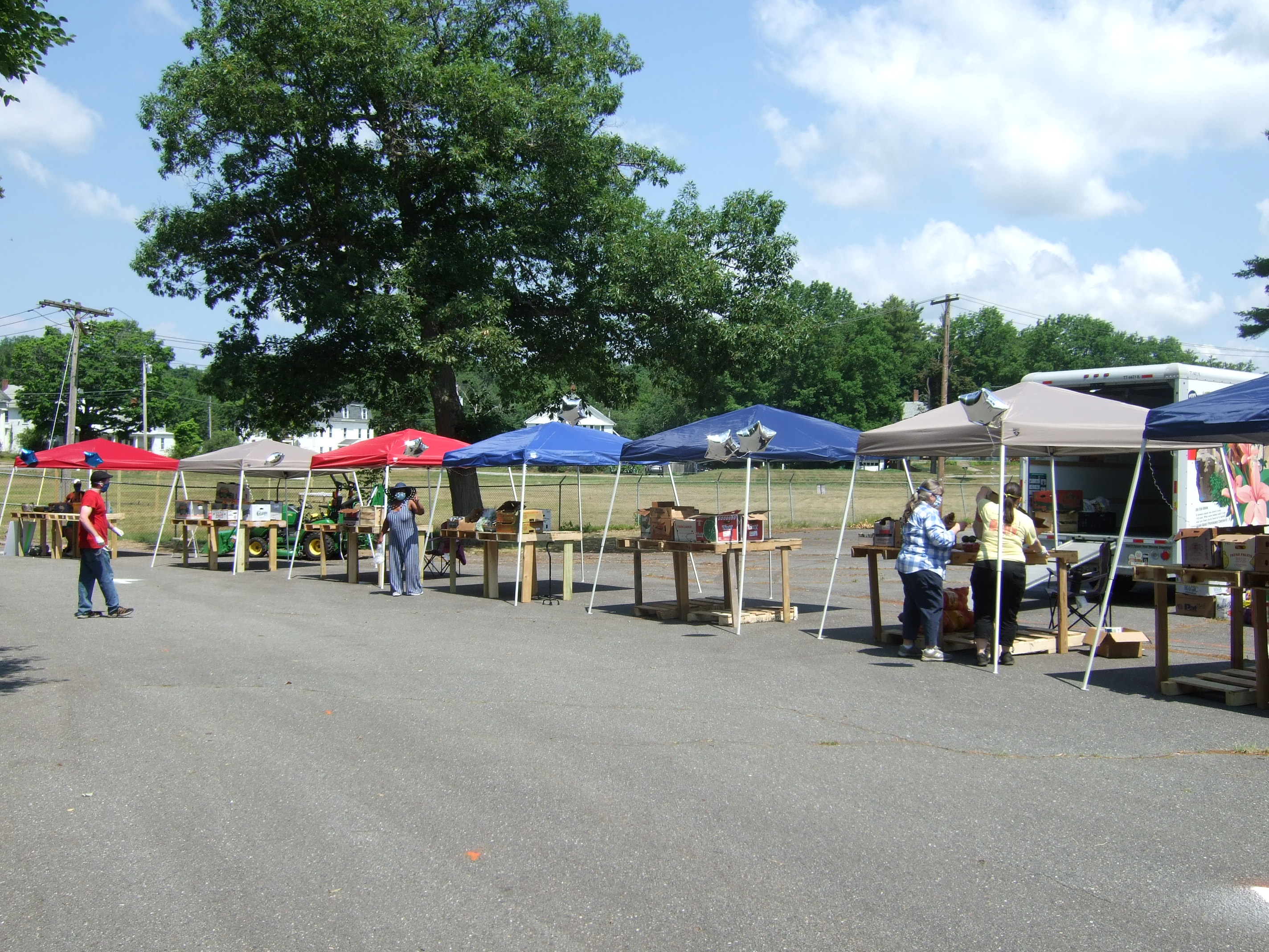 Farmer's Market